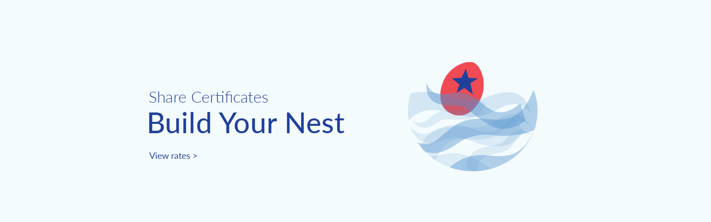 Build your nest